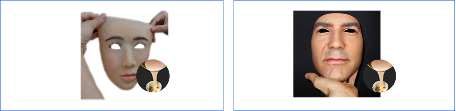 1557200106695436.png 人體4.png