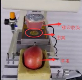 蘋果印刷圖案 蘋果印刷圖案